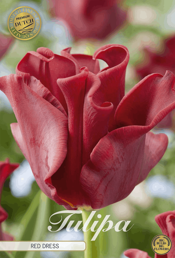 Tulipa Red Dress