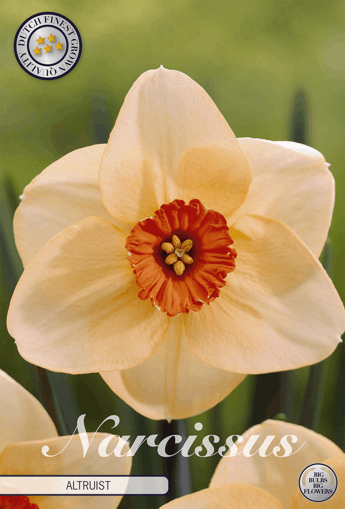 Narcissus Altruist