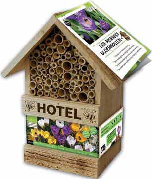 Bee Hotel with Crocus Bulbs