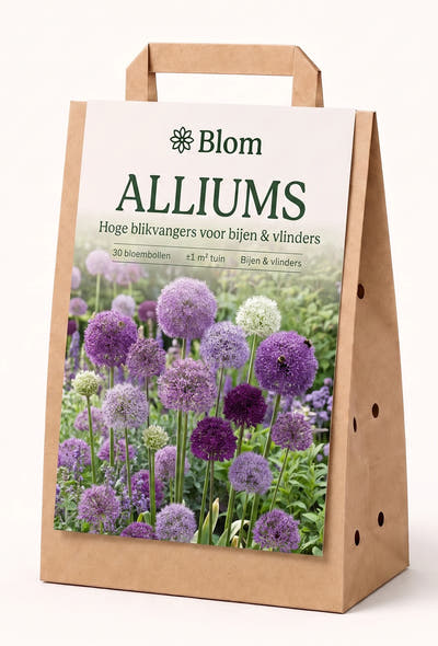 Bloementuin Allium