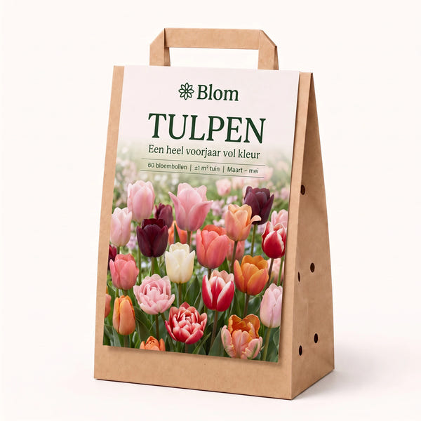 Jardin fleuri Tulipe
