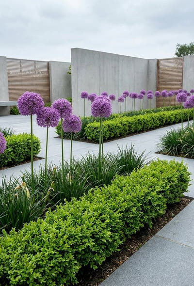 Strakke moderne tuin — Architectuur in Paars