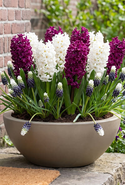Pots et balcon — Pot parfumé
