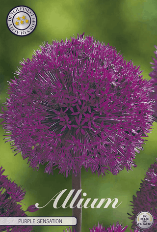 Bulbes à fleurs