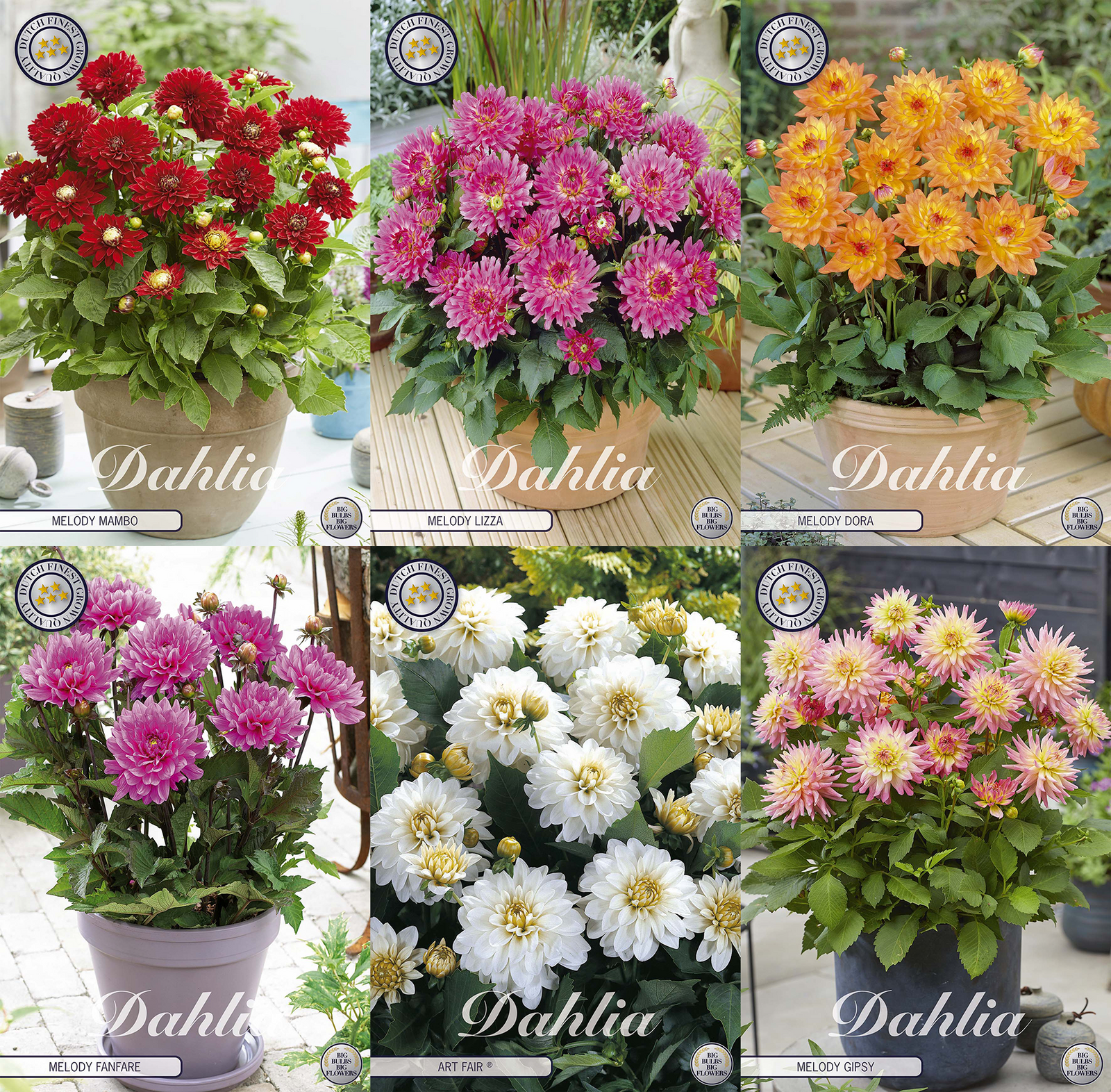 Pots of Passion