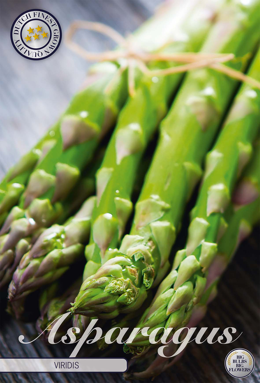 Asparagus Viridis