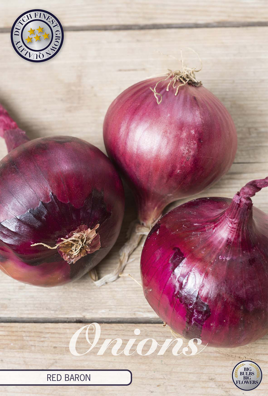 Onion Red Baron