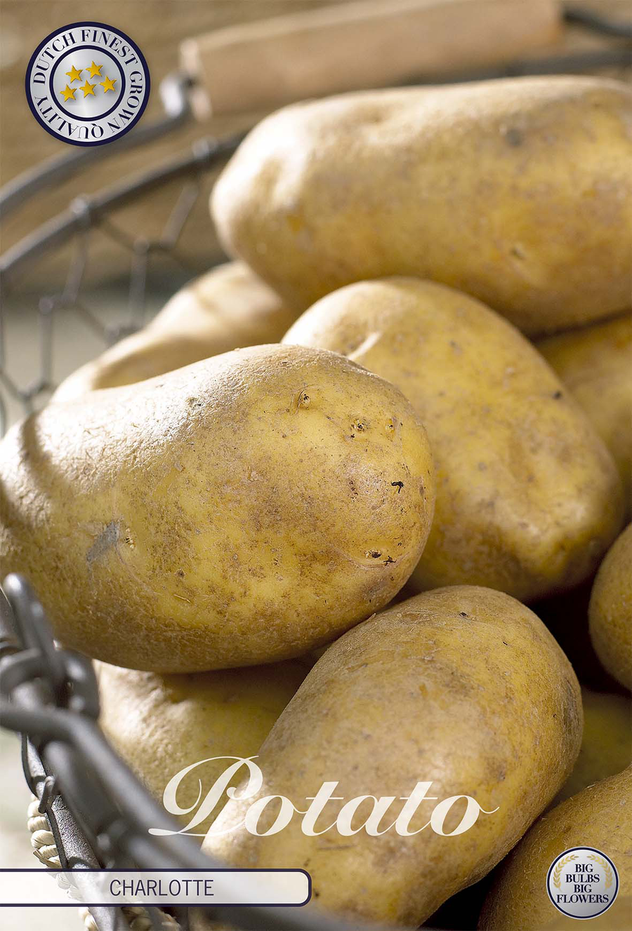 Potato Charlotte