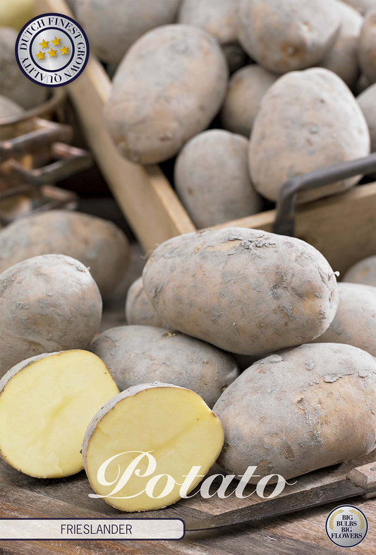Potato Frieslander