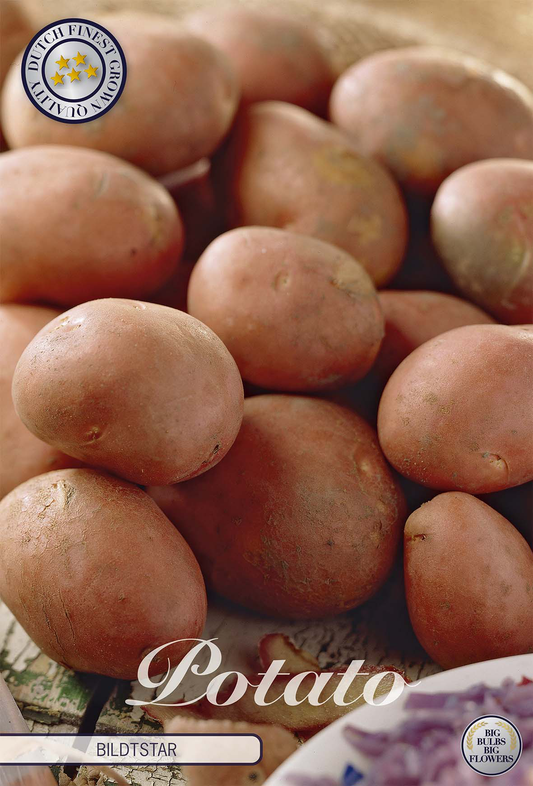Potato Bildtstar