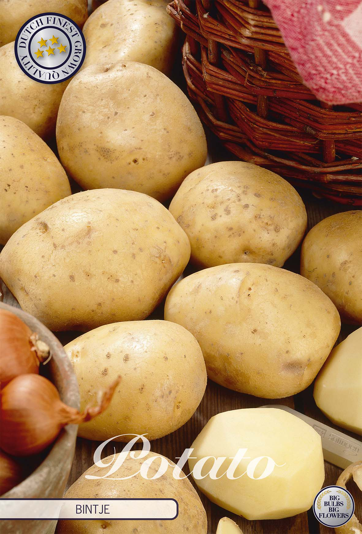 Potato Bintje