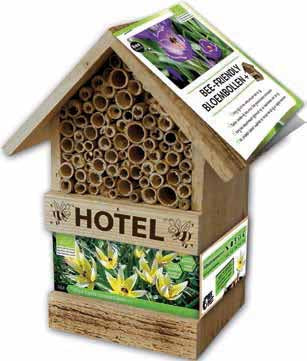 Bee Hotel with Tulip Bulbs (Tulipa Tarda) - BLOM