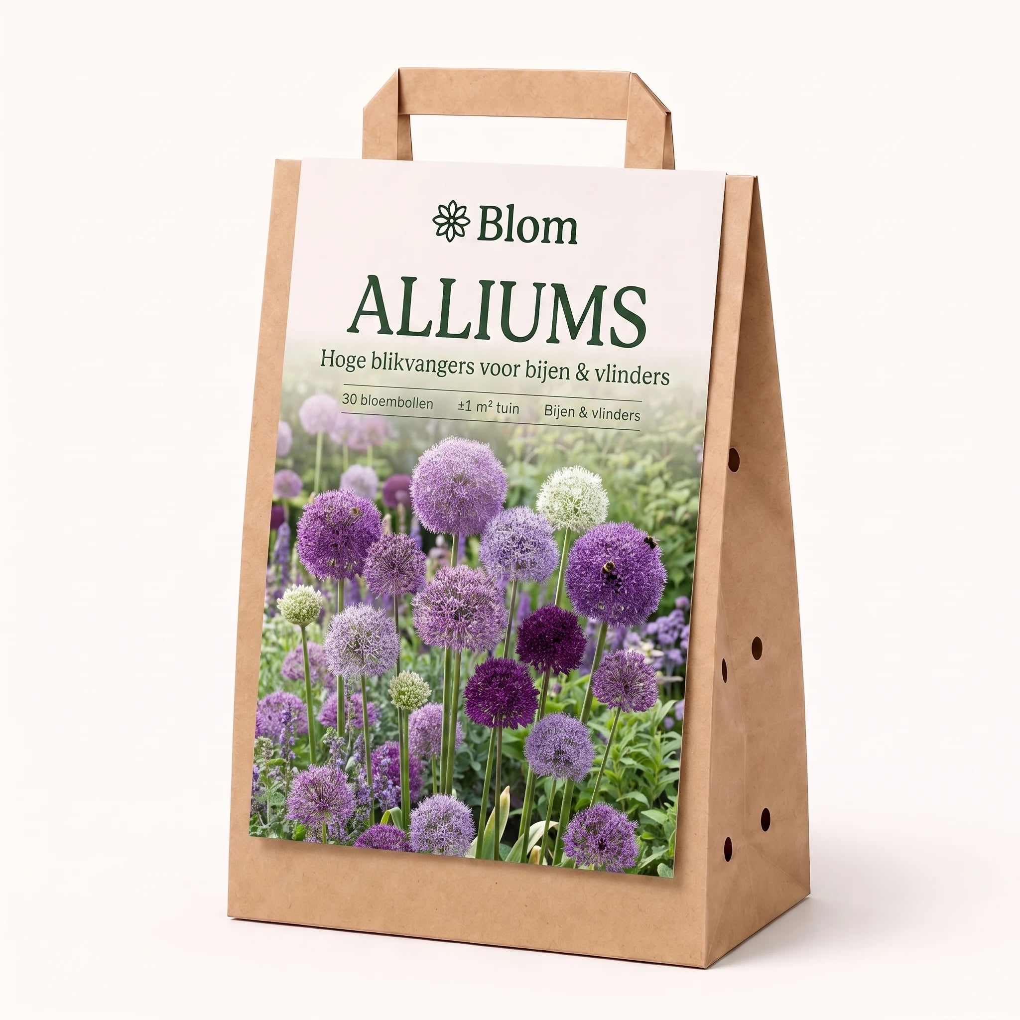 Bloementuin Allium