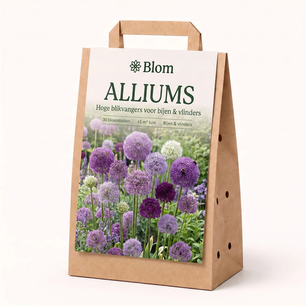 Jardin fleuri Ail d'ornement