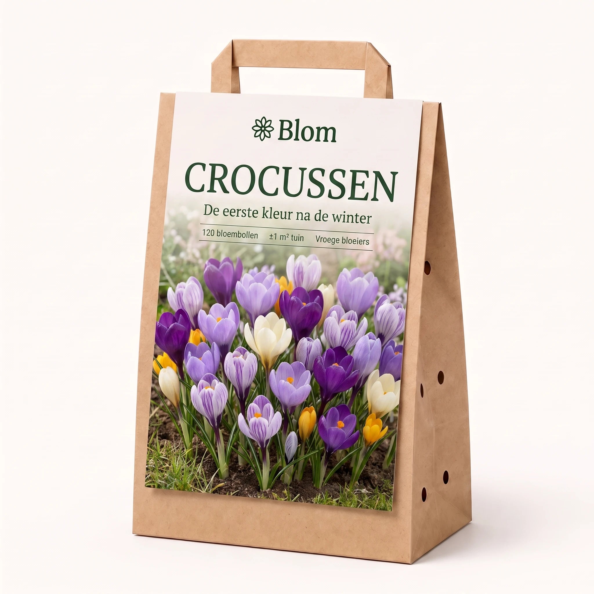 Bloementuin Crocus