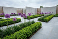 modern tuin