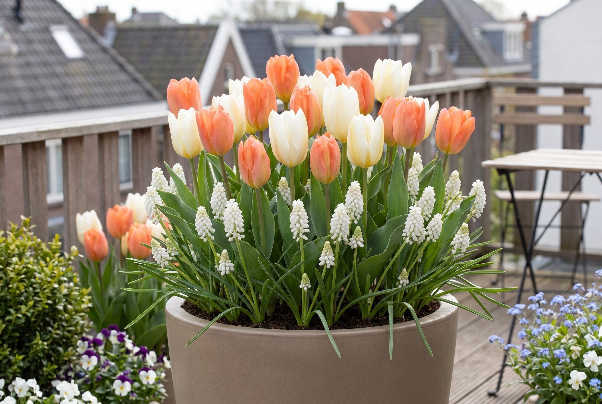 Pots et balcon — Balcon en fleurs