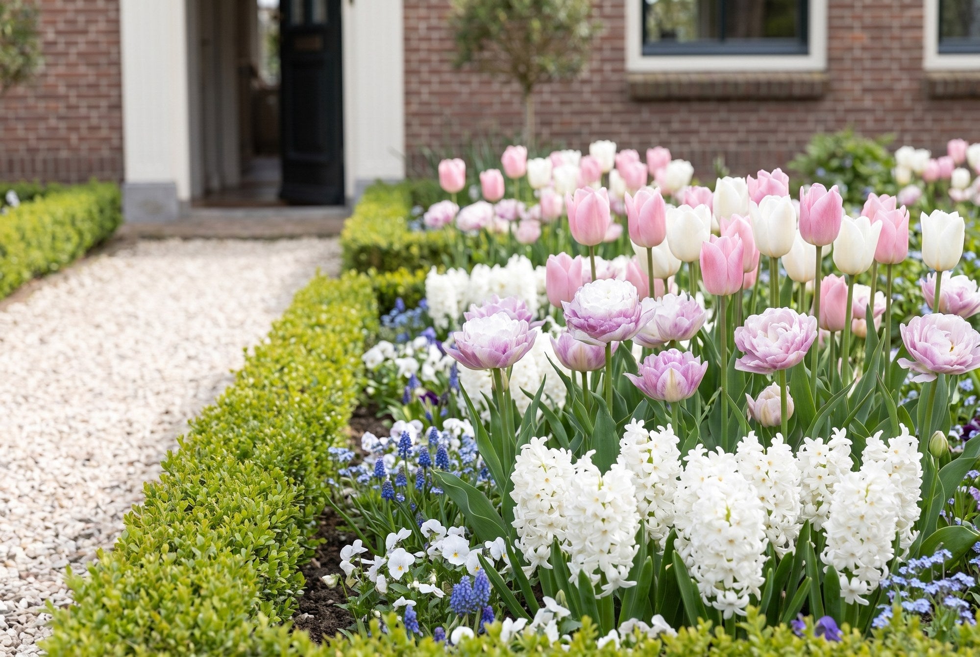 Jardin romantique — Douce romance