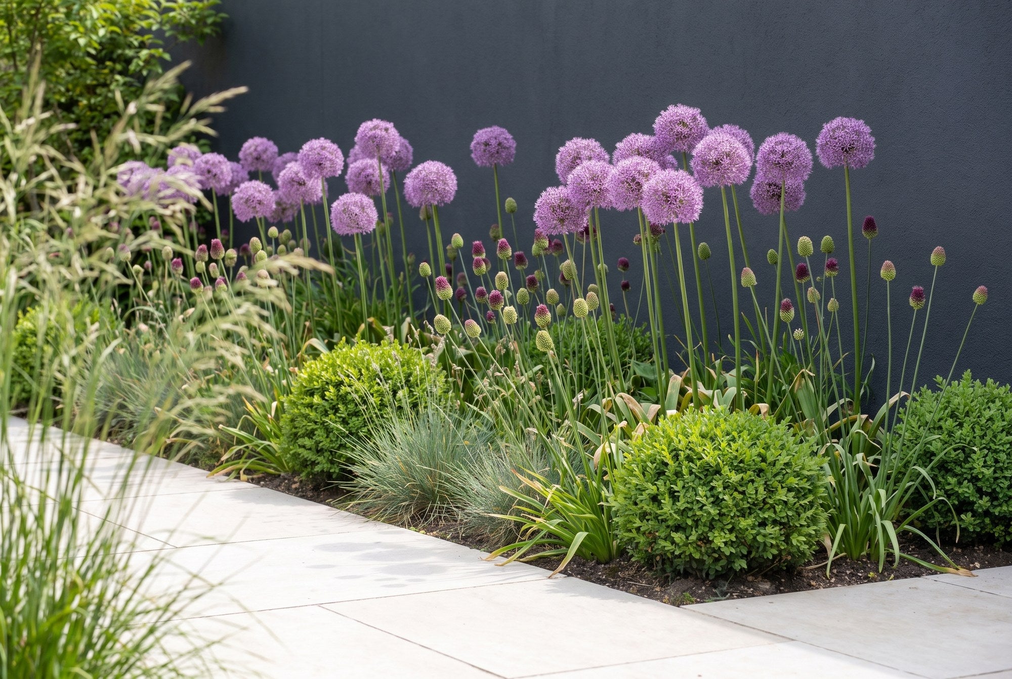 Jardin moderne épuré — Architecture en violet