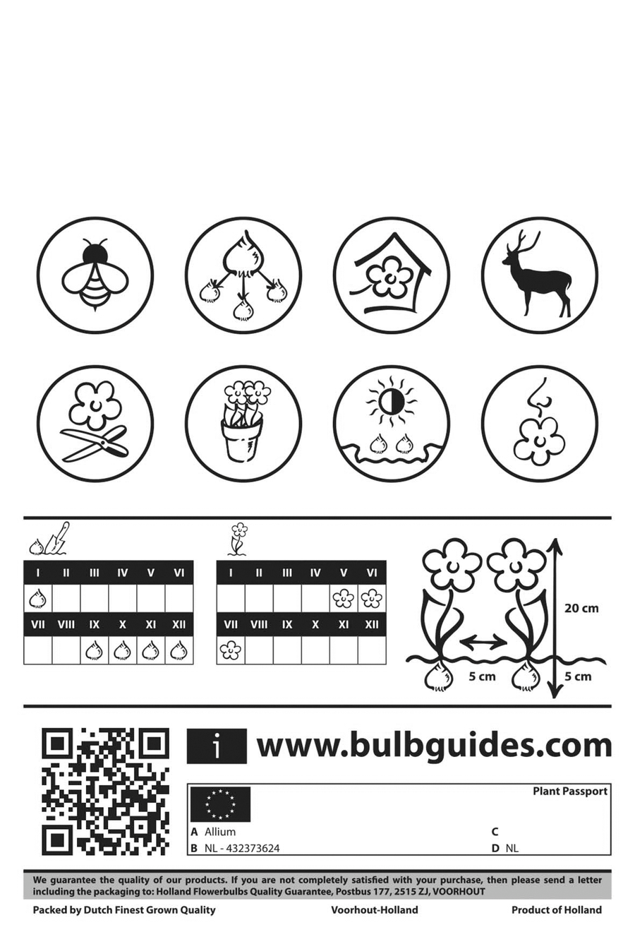 Allium Oreophilum achterkant verpakking