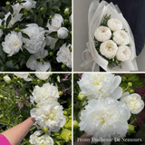 Collection Jardin d’Été de Pivoines