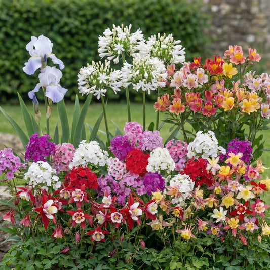 Balcony Pollinator Pack