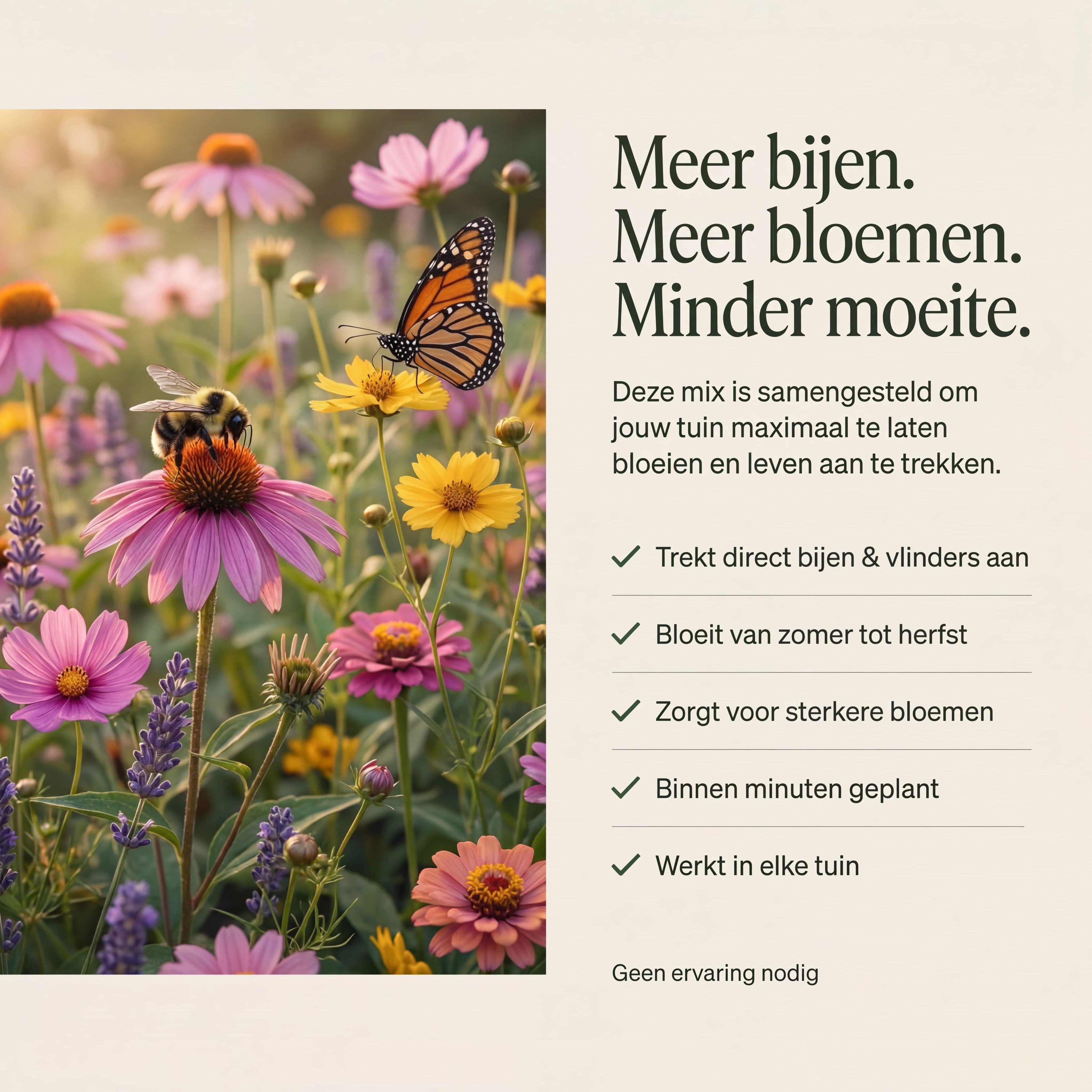 Balcony Pollinator Pack