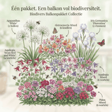 Balcony Pollinator Pack