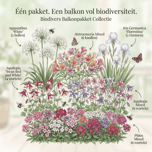 Balcony Pollinator Pack