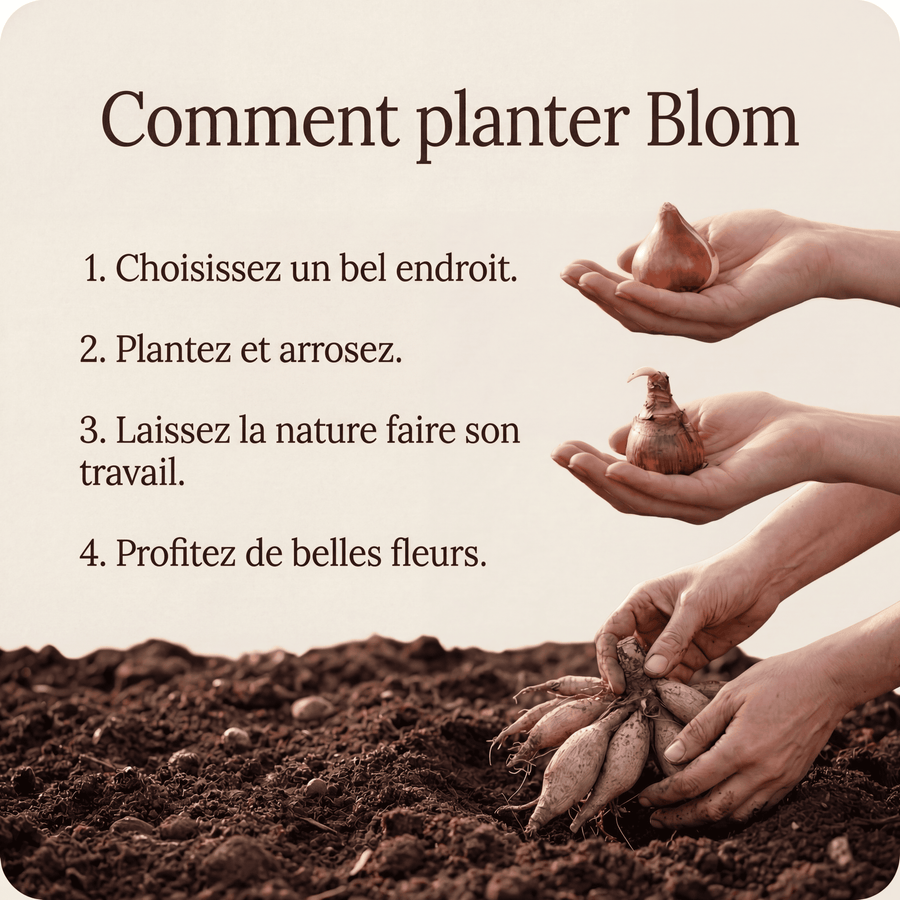 Boîte Mystère