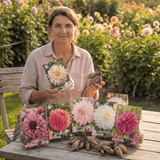 Collection Jardin d’Été de Dahlias